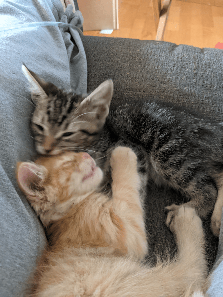 This image has an empty alt attribute; its file name is image.png